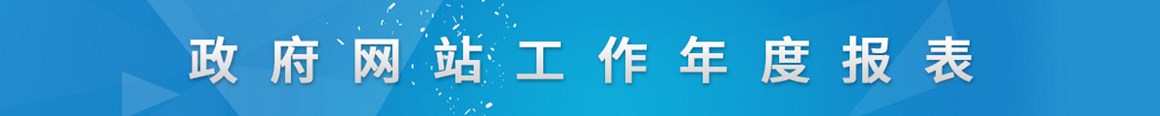 网站年度报告